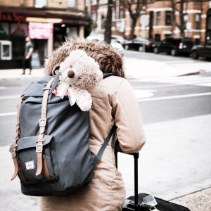 Teddy bear in backpack